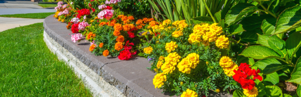 Affordable Ways to Boost a Property’s Curb Appeal