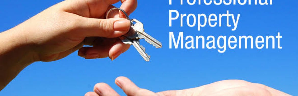 How To Do Professional Property Management Processes?