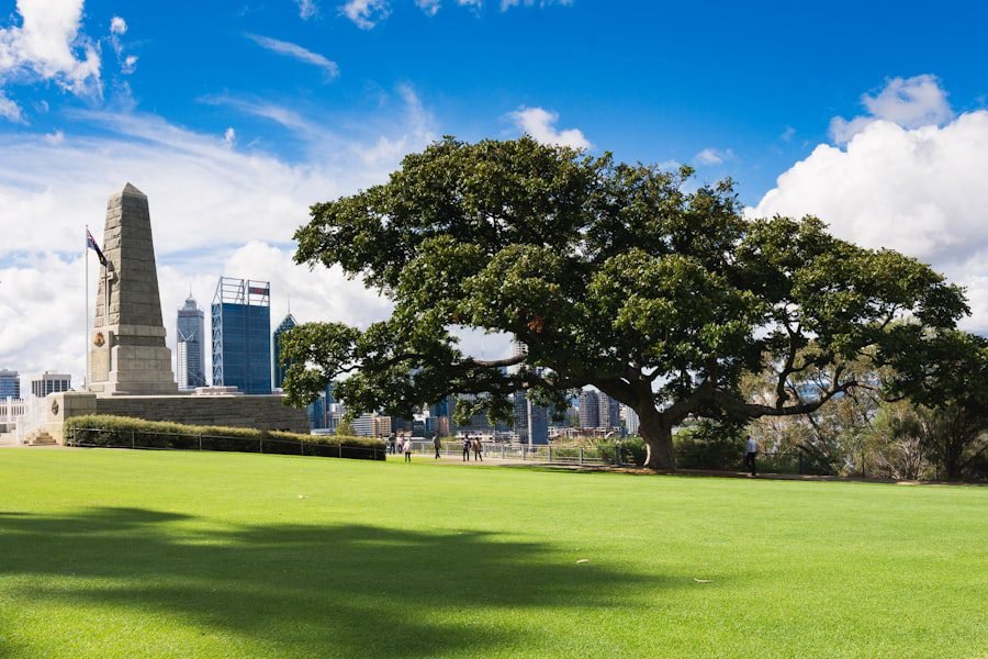 Photo property management fees perth