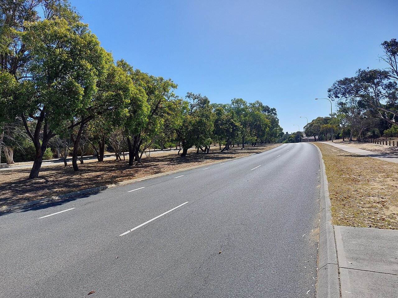 Duncraig established family