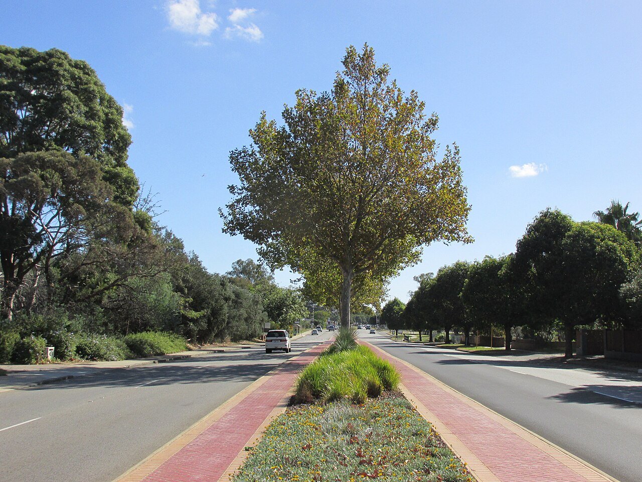 maddington value hub guide