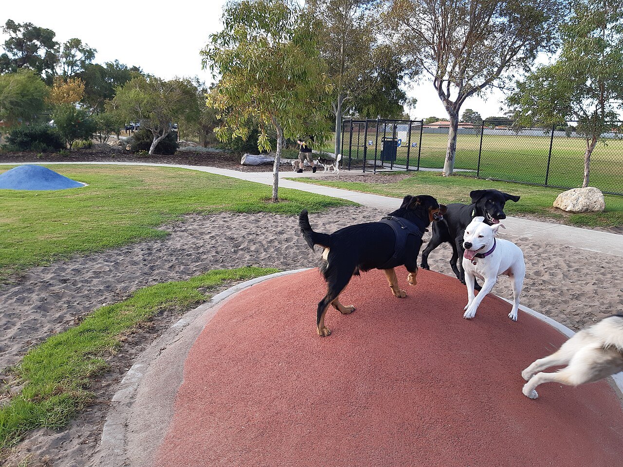 pet bonds WA