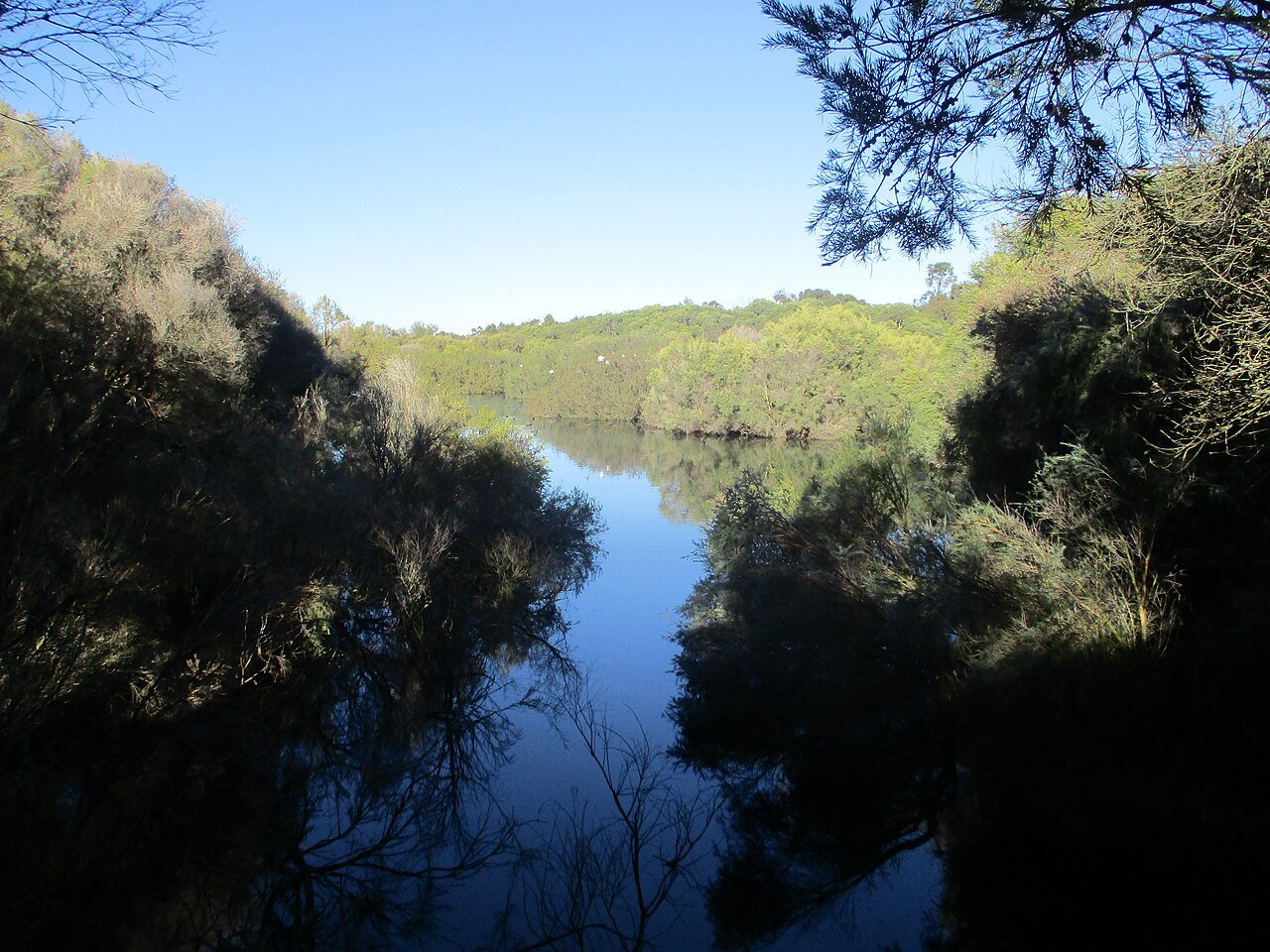 wandi acreage suburb guide